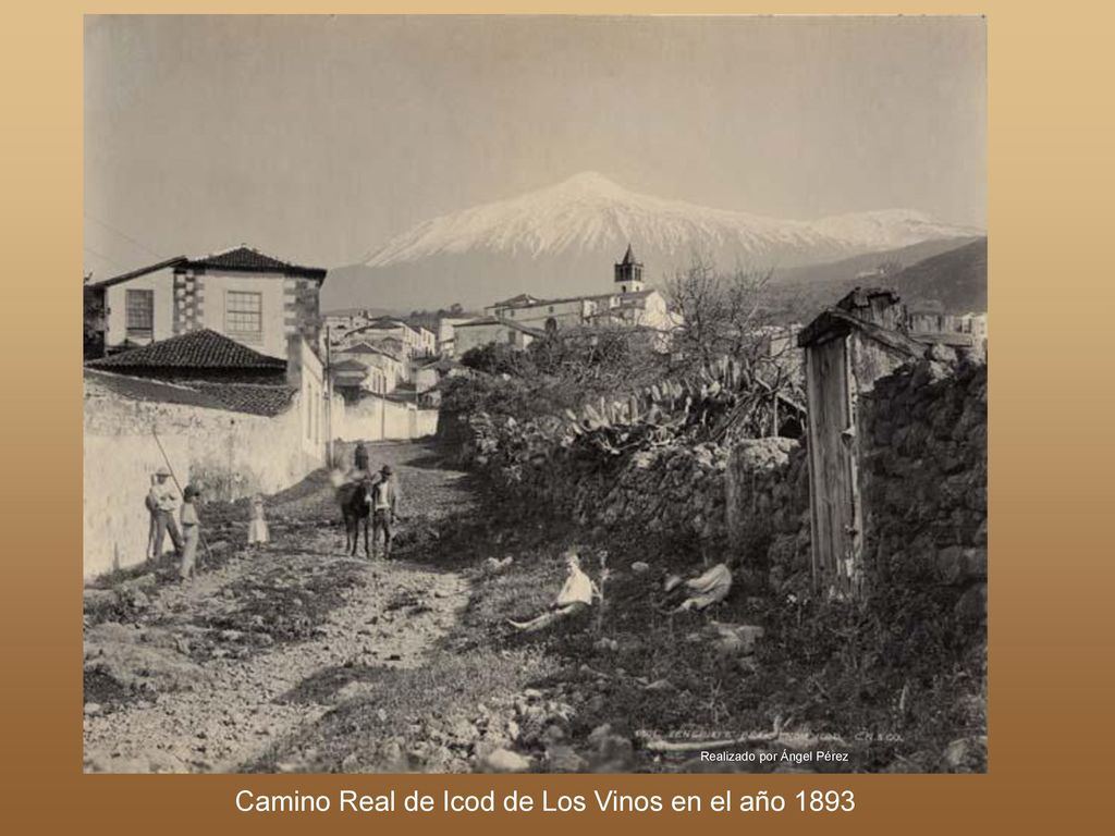 Camino Real de Icod de Los Vinos en el año 1893