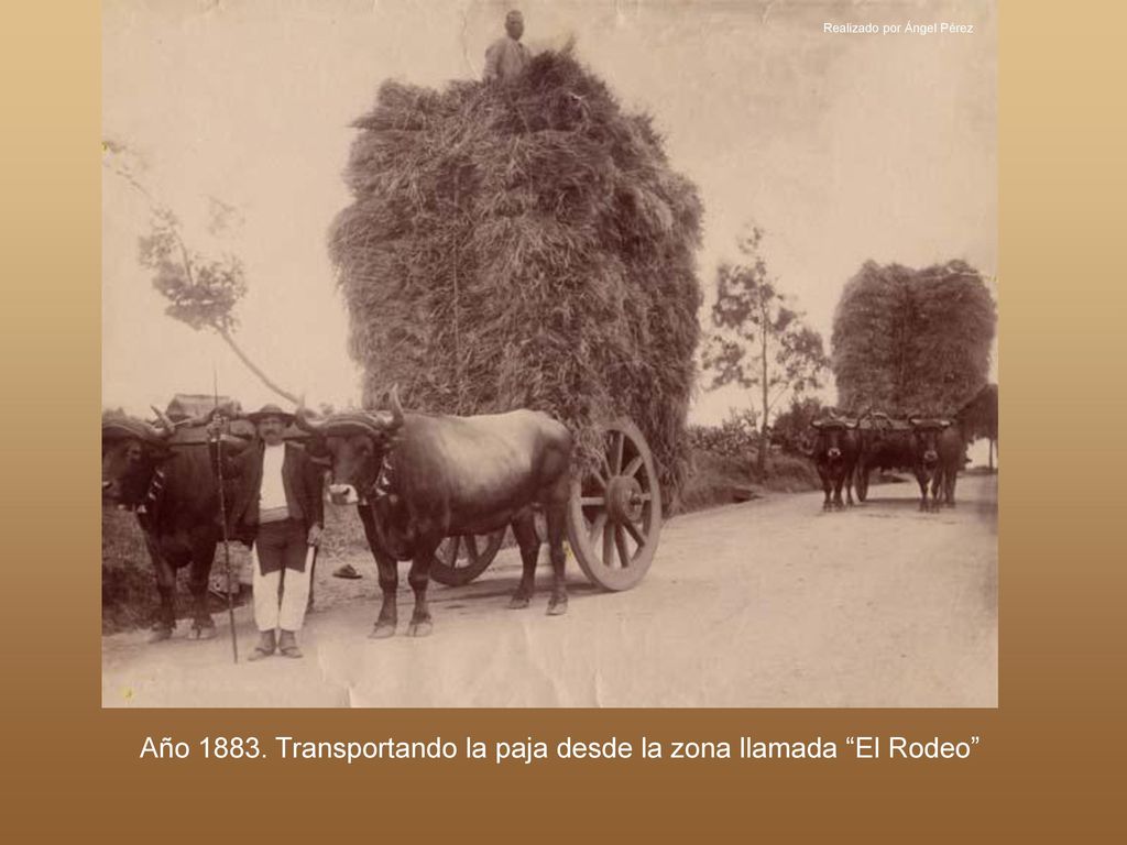 Año Transportando la paja desde la zona llamada El Rodeo
