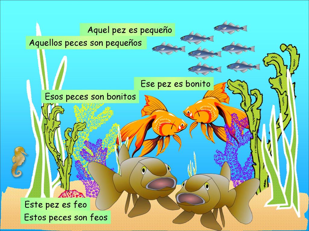 Aquel pez es pequeño Aquellos peces son pequeños. Ese pez es bonito. Esos peces son bonitos. Este pez es feo.