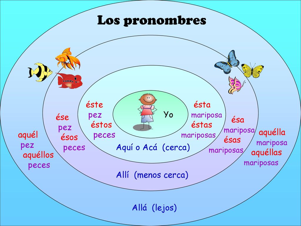 Los pronombres Los adjetivos Yo éste éstos este pez estos peces