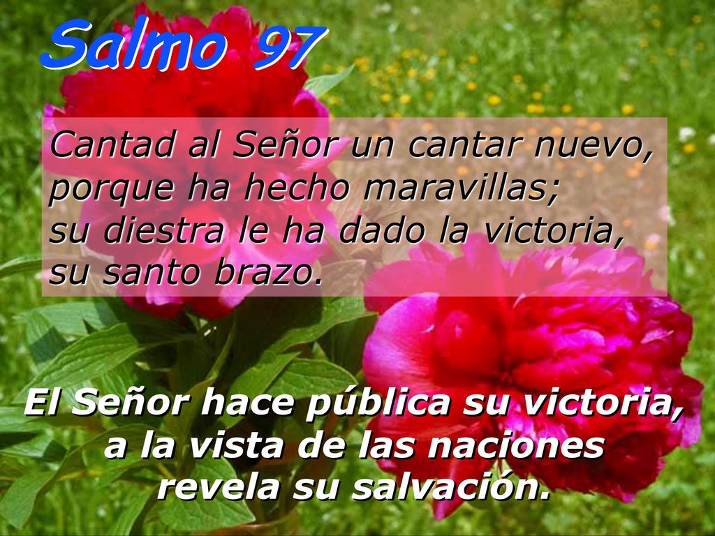 Salmo 97 Cantad al Señor un cantar nuevo, porque ha hecho maravillas; su diestra le ha dado la victoria, su santo brazo.