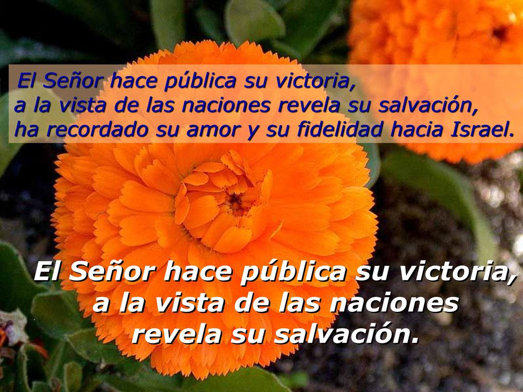 El Señor hace pública su victoria, a la vista de las naciones revela su salvación, ha recordado su amor y su fidelidad hacia Israel.