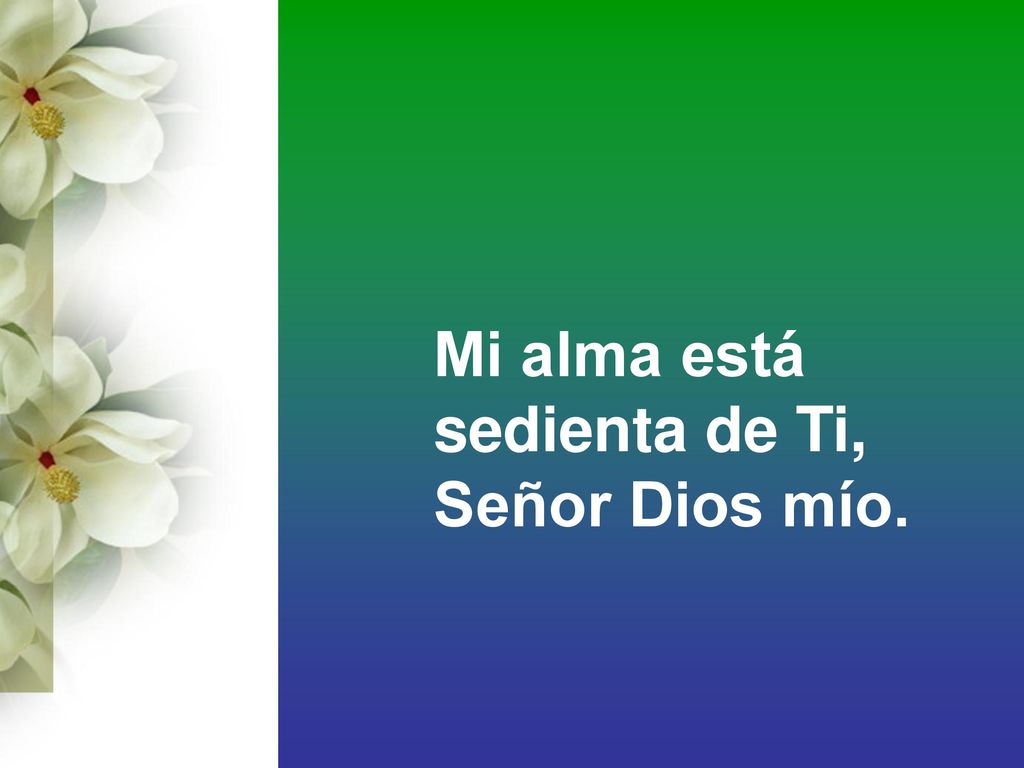 Mi alma está sedienta de Ti, Señor Dios mío.