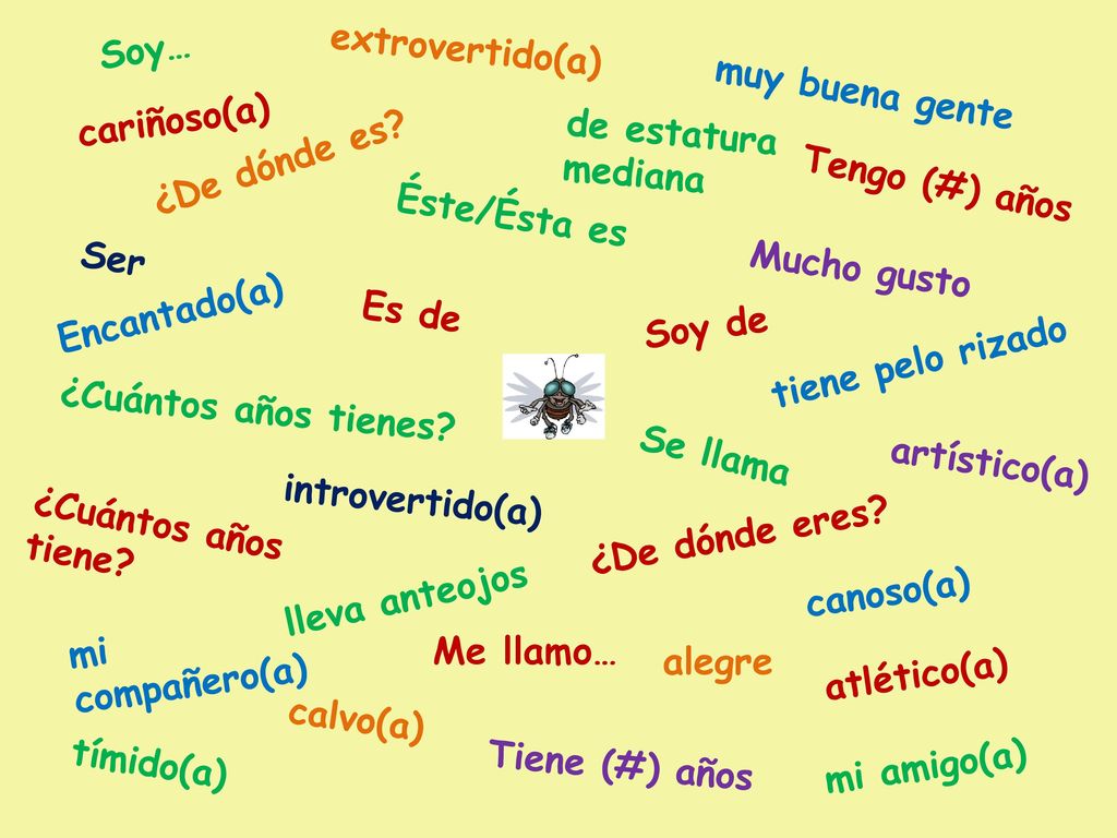 Soy… extrovertido(a) muy buena gente. cariñoso(a) de estatura mediana. ¿De dónde es Tengo (#) años.