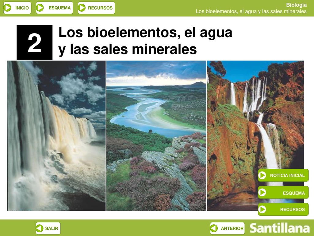 2 Los bioelementos, el agua y las sales minerales ESQUEMA