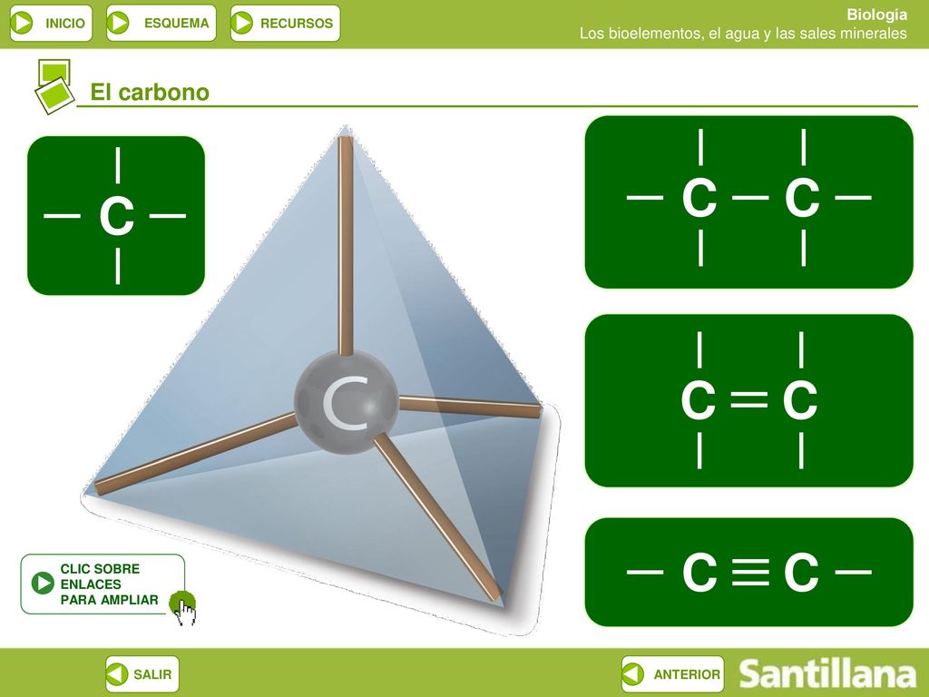 El carbono C C C C CLIC SOBRE ENLACES PARA AMPLIAR