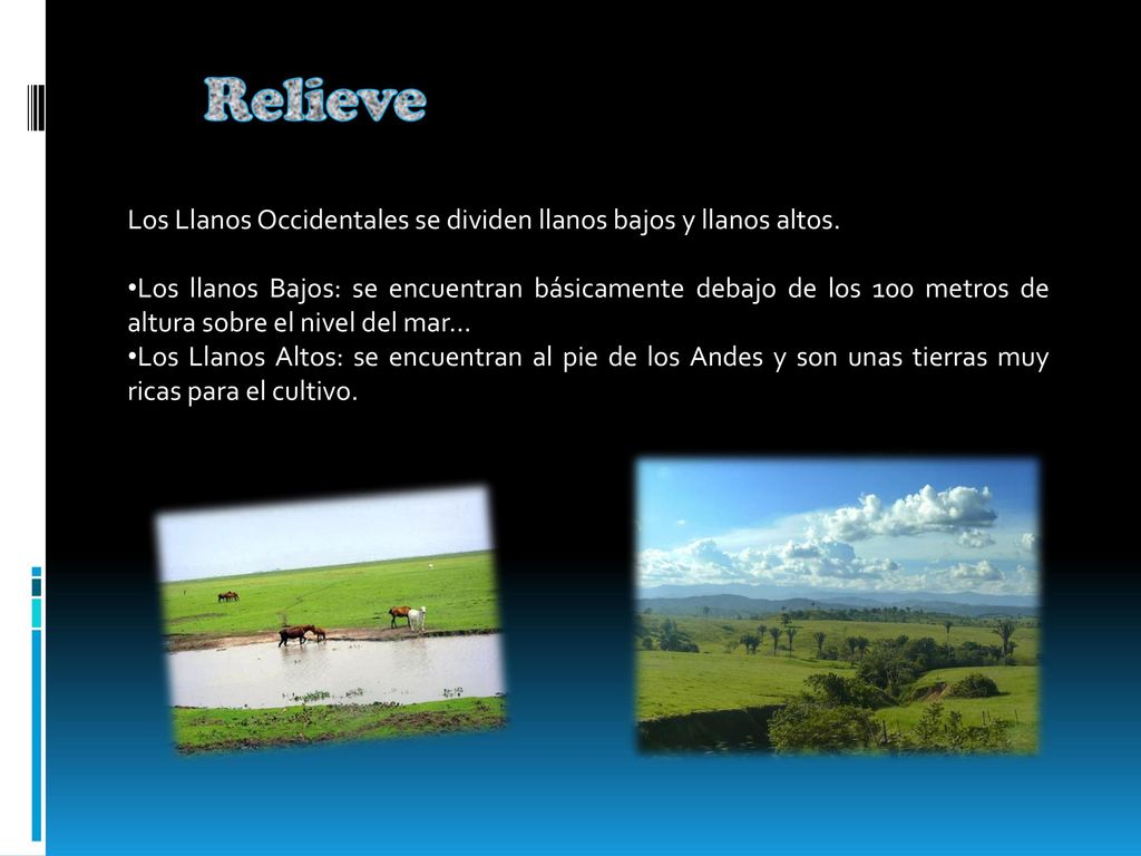 Relieve Los Llanos Occidentales se dividen llanos bajos y llanos altos.