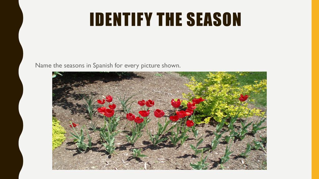 Identify the season Name the seasons in Spanish for every picture shown.