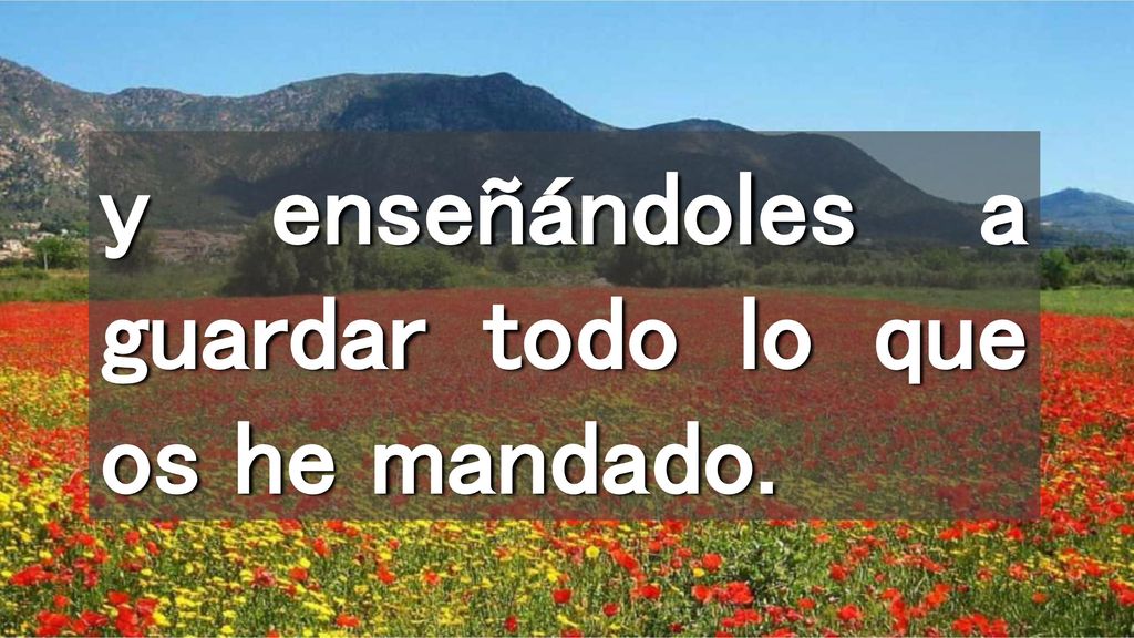 y enseñándoles a guardar todo lo que os he mandado.