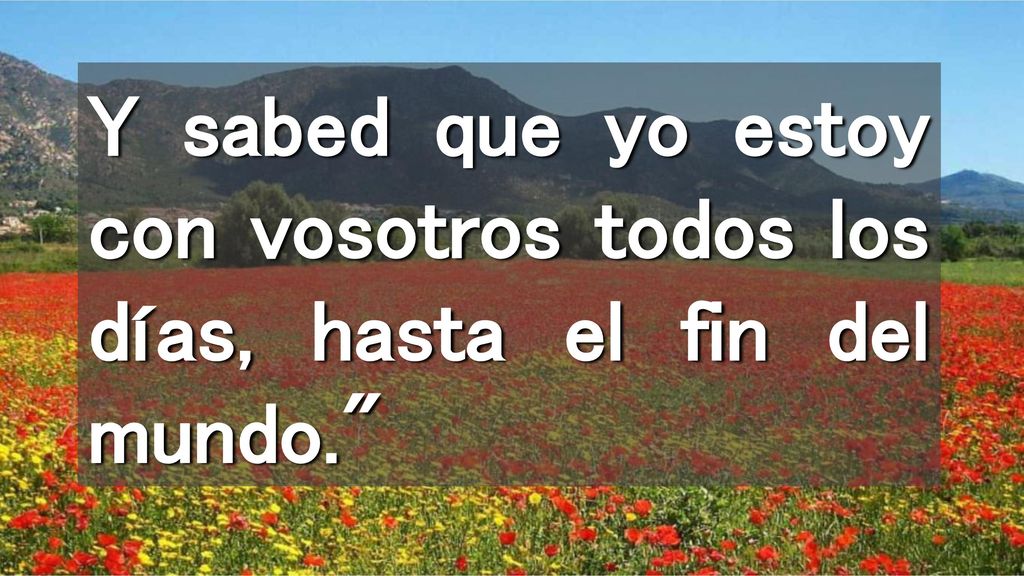 Y sabed que yo estoy con vosotros todos los días, hasta el fin del mundo.