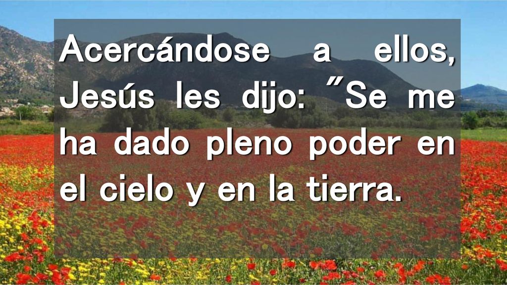 Acercándose a ellos, Jesús les dijo: Se me ha dado pleno poder en el cielo y en la tierra.
