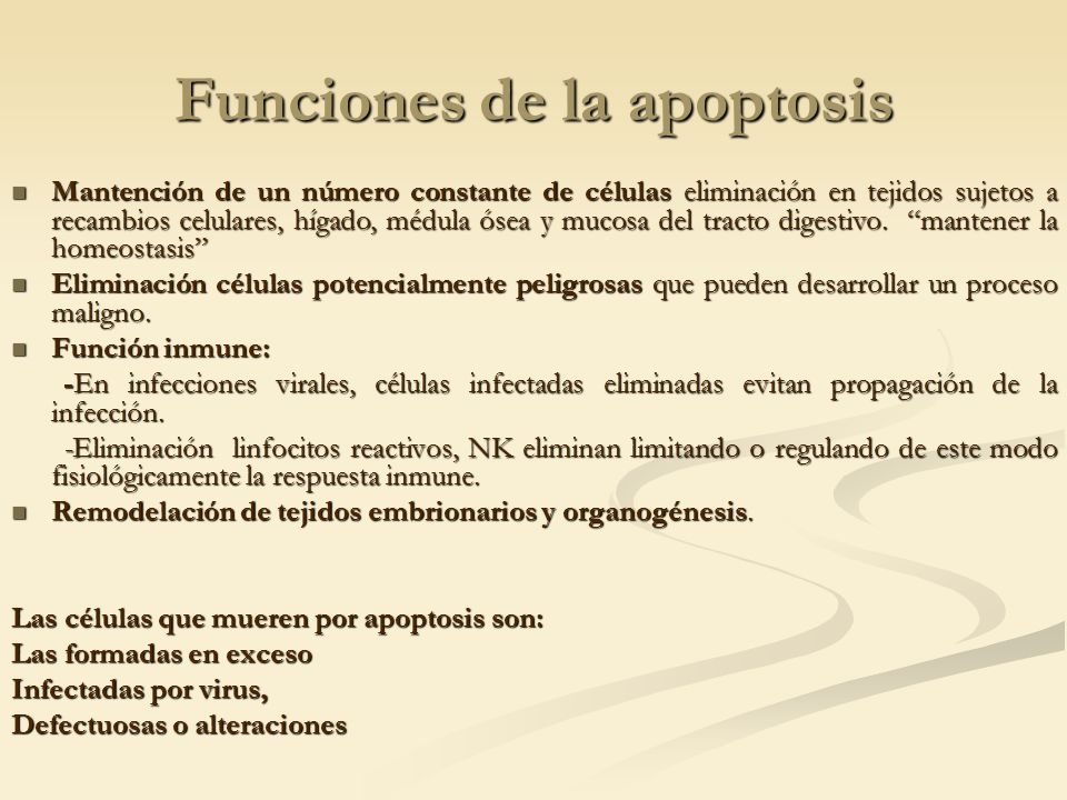 Funciones de la apoptosis