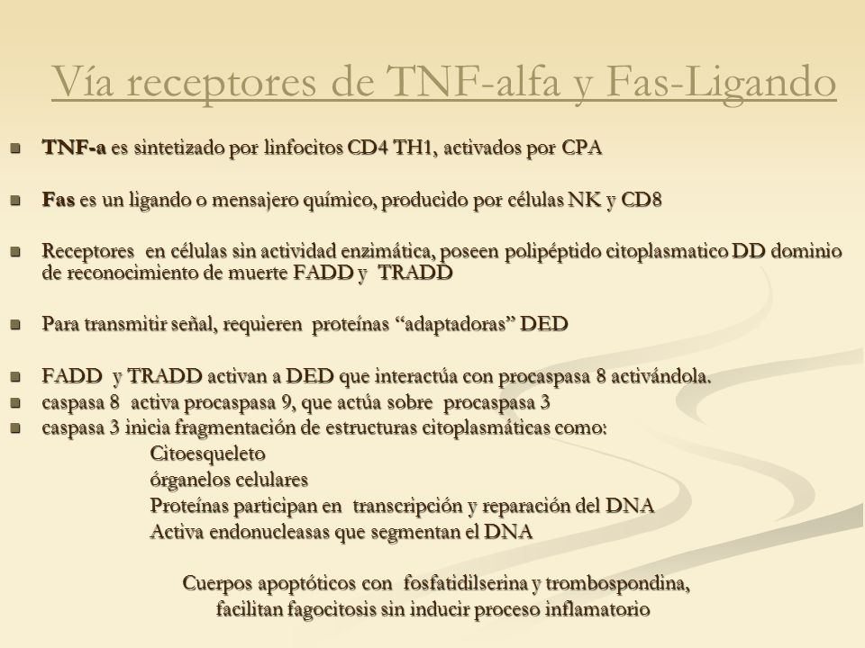 Vía receptores de TNF-alfa y Fas-Ligando
