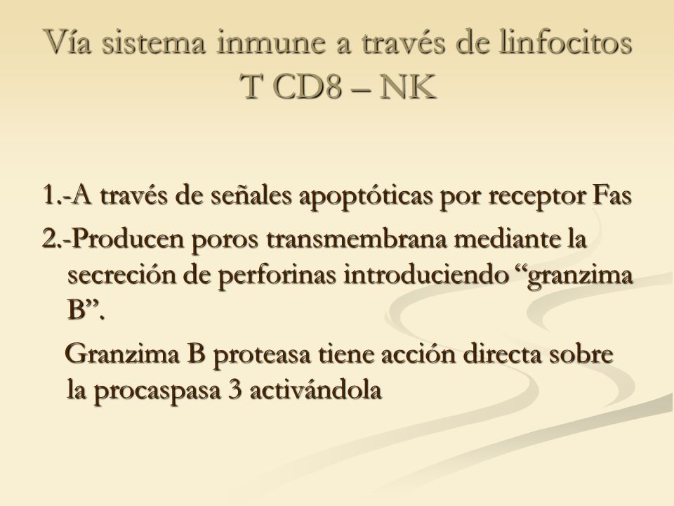 Vía sistema inmune a través de linfocitos T CD8 – NK