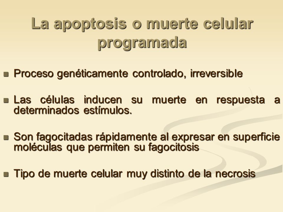 La apoptosis o muerte celular programada