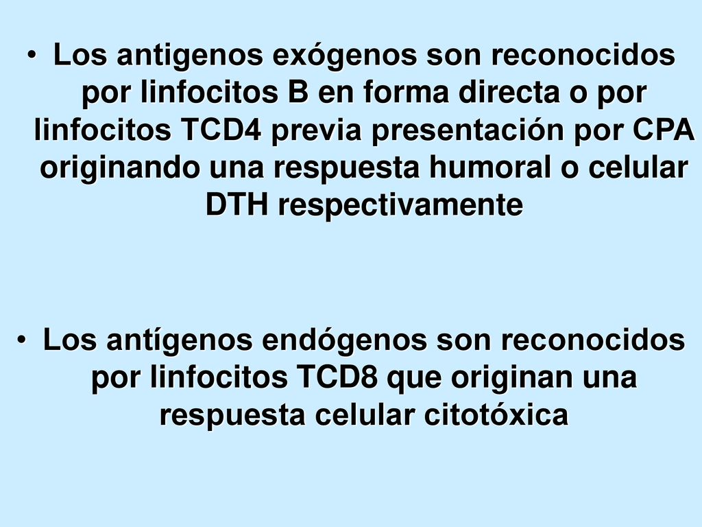 Los antigenos exógenos son reconocidos por linfocitos B en forma directa o por linfocitos TCD4 previa presentación por CPA originando una respuesta humoral o celular DTH respectivamente