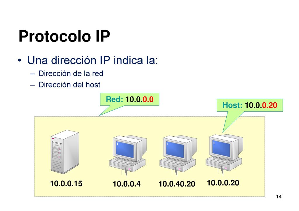 Protocolo IP Una dirección IP indica la: Dirección de la red