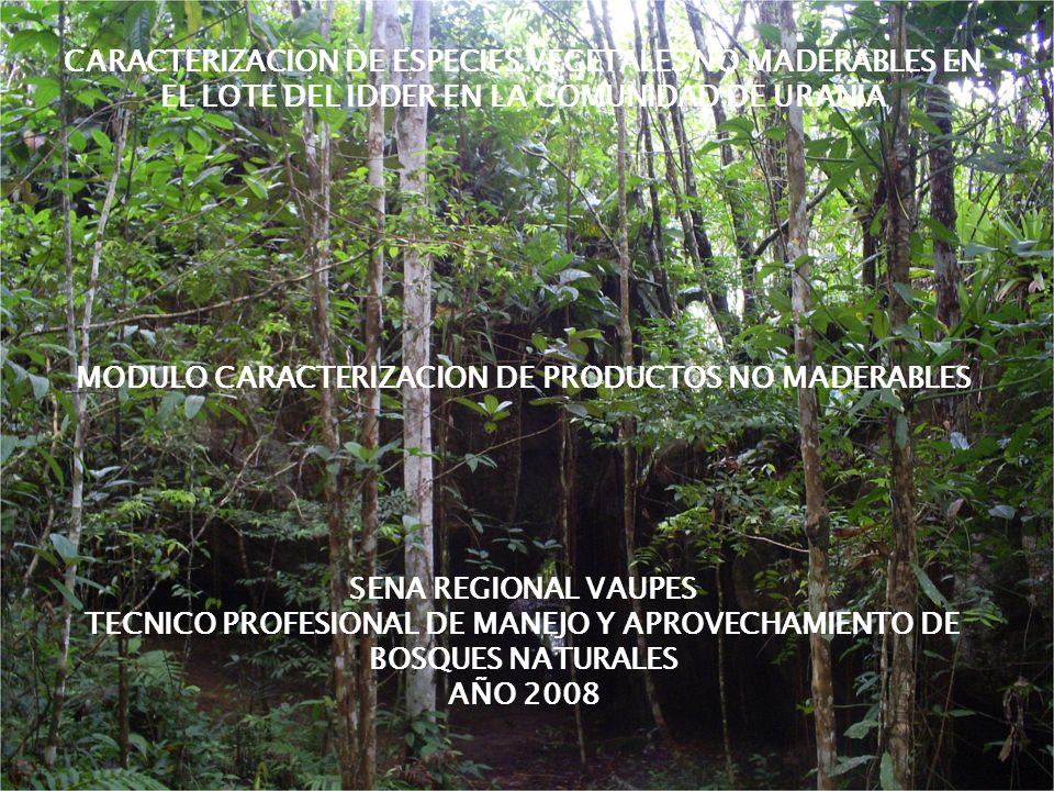 MODULO CARACTERIZACION DE PRODUCTOS NO MADERABLES