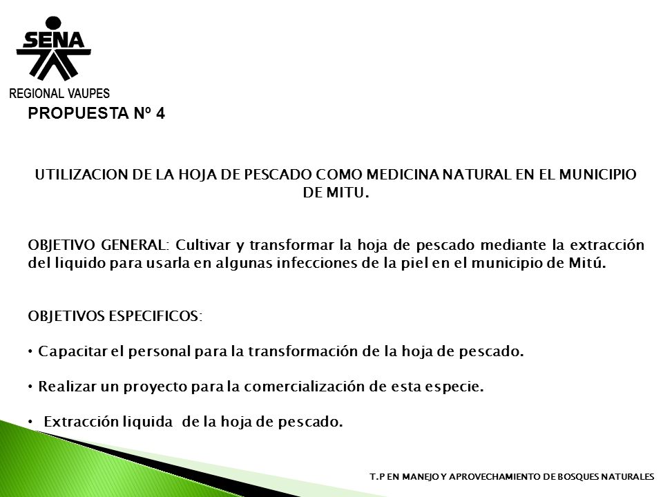 REGIONAL VAUPES PROPUESTA Nº 4. UTILIZACION DE LA HOJA DE PESCADO COMO MEDICINA NATURAL EN EL MUNICIPIO DE MITU.