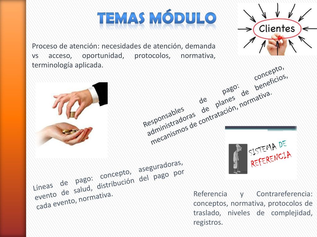 TEMAS MÓDULO Proceso de atención: necesidades de atención, demanda vs acceso, oportunidad, protocolos, normativa, terminología aplicada.