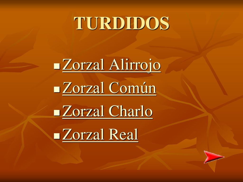 TURDIDOS Zorzal Alirrojo Zorzal Común Zorzal Charlo Zorzal Real