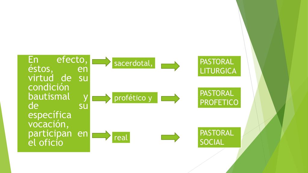 En efecto, éstos, en virtud de su condición bautismal y de su específica vocación, participan en el oficio