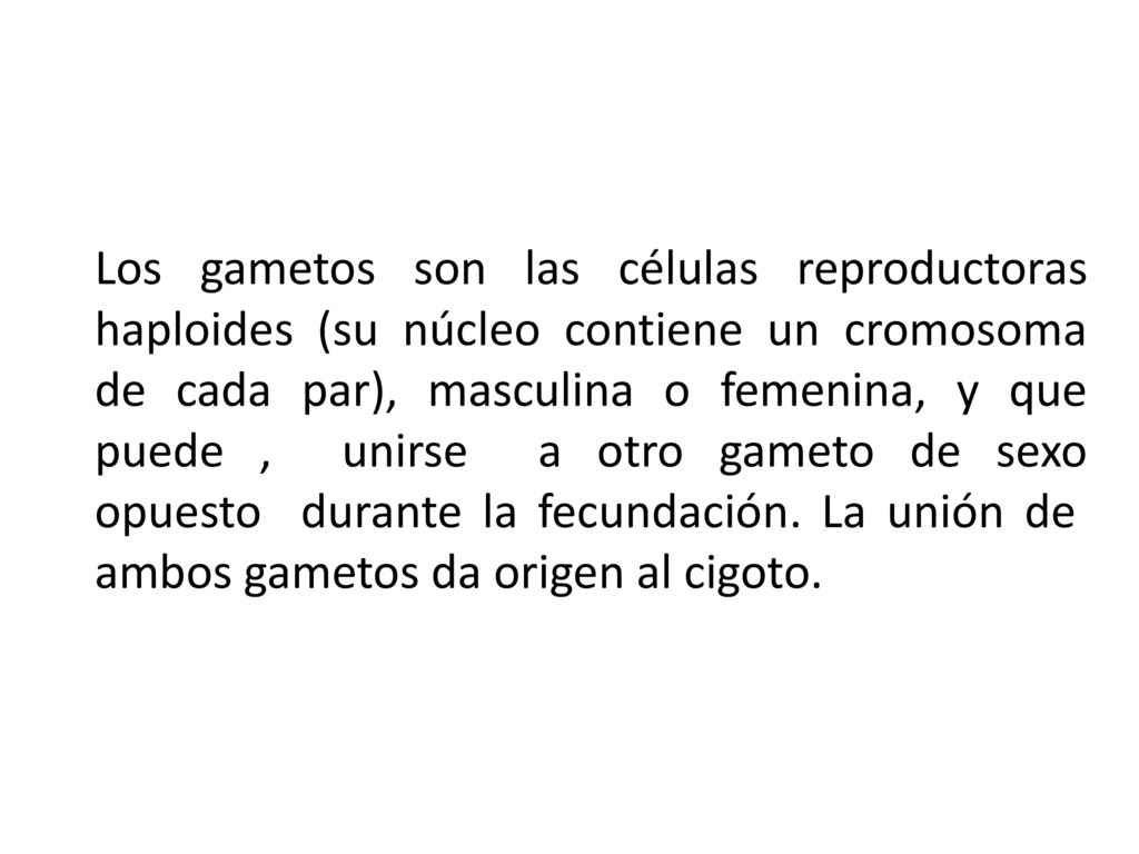 Los gametos son las células reproductoras haploides (su núcleo contiene un cromosoma de cada par), masculina o femenina, y que puede , unirse a otro gameto de sexo opuesto durante la fecundación. La unión de ambos gametos da origen al cigoto.