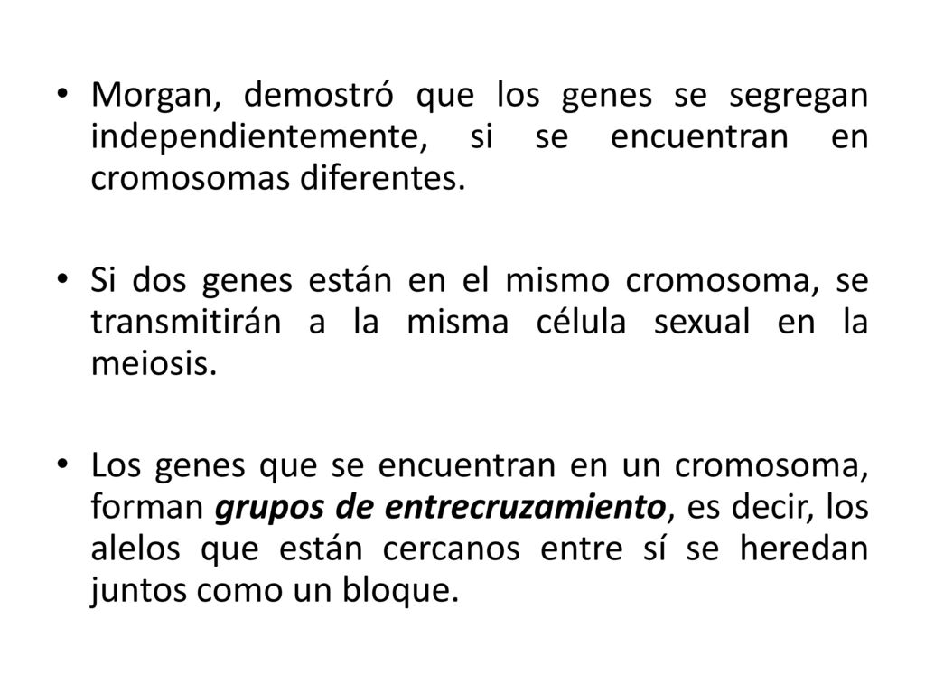 Morgan, demostró que los genes se segregan independientemente, si se encuentran en cromosomas diferentes.
