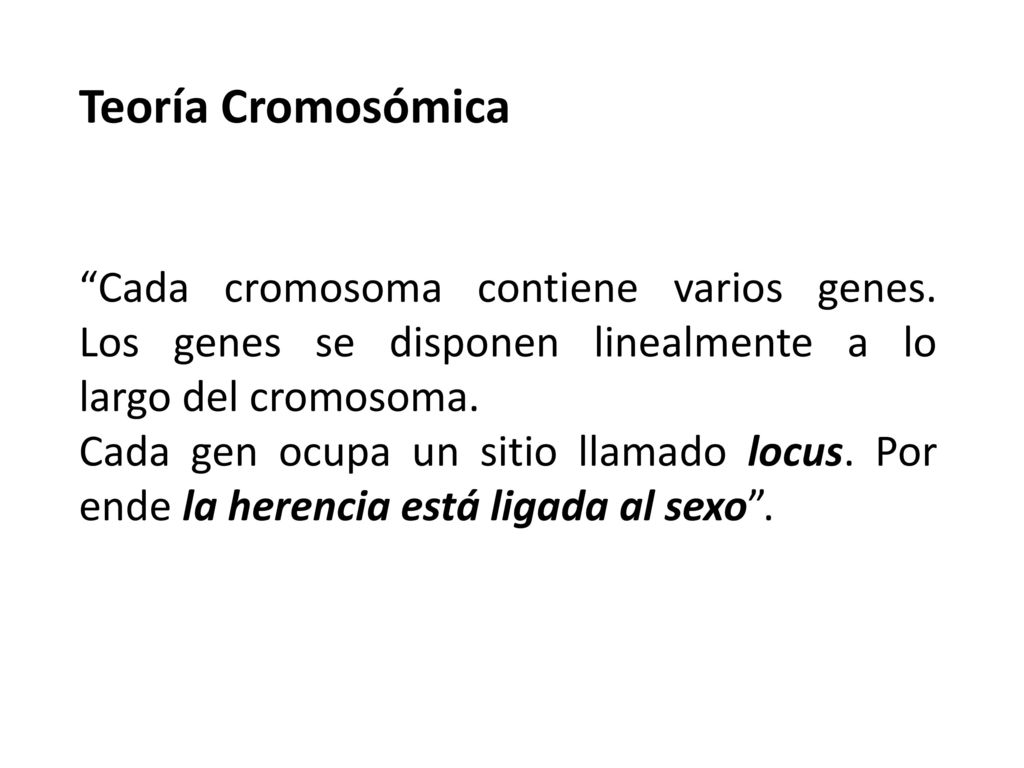 Teoría Cromosómica Cada cromosoma contiene varios genes. Los genes se disponen linealmente a lo largo del cromosoma.
