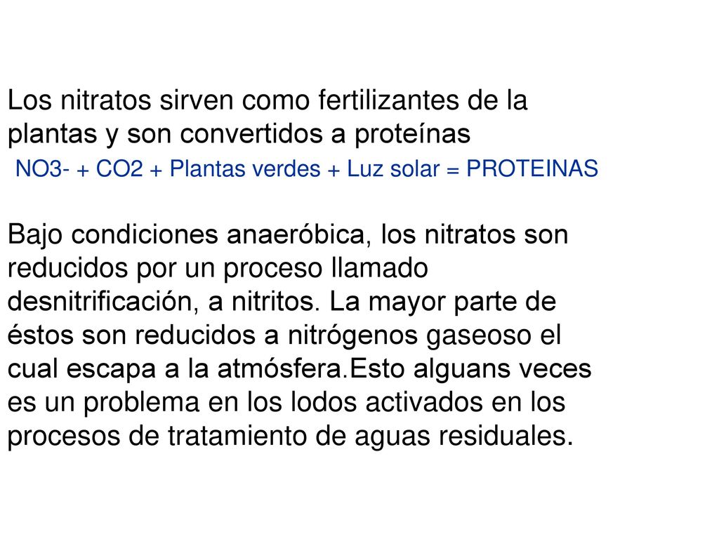 Los nitratos sirven como fertilizantes de la plantas y son convertidos a proteínas NO3- + CO2 + Plantas verdes + Luz solar = PROTEINAS Bajo condiciones anaeróbica, los nitratos son reducidos por un proceso llamado desnitrificación, a nitritos.