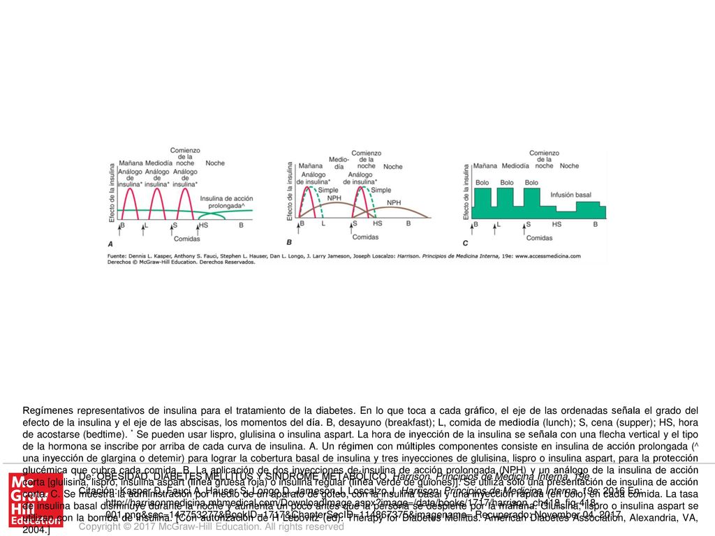 Regímenes representativos de insulina para el tratamiento de la diabetes. En lo que toca a cada gráfico, el eje de las ordenadas señala el grado del efecto de la insulina y el eje de las abscisas, los momentos del día. B, desayuno (breakfast); L, comida de mediodía (lunch); S, cena (supper); HS, hora de acostarse (bedtime). * Se pueden usar lispro, glulisina o insulina aspart. La hora de inyección de la insulina se señala con una flecha vertical y el tipo de la hormona se inscribe por arriba de cada curva de insulina. A. Un régimen con múltiples componentes consiste en insulina de acción prolongada (∧ una inyección de glargina o detemir) para lograr la cobertura basal de insulina y tres inyecciones de glulisina, lispro o insulina aspart, para la protección glucémica que cubra cada comida. B. La aplicación de dos inyecciones de insulina de acción prolongada (NPH) y un análogo de la insulina de acción corta [glulisina, lispro, insulina aspart (línea gruesa roja) o insulina regular (línea verde de guiones)]. Se utiliza sólo una presentación de insulina de acción corta. C. Se muestra la administración por medio de un aparato de goteo, con la insulina basal y una inyección rápida (en bolo) en cada comida. La tasa de insulina basal disminuye durante la noche y aumenta un poco antes que la persona se despierte por la mañana. Glulisina, lispro o insulina aspart se utilizan con la bomba de insulina. [Con autorización de H Lebovitz (ed): Therapy for Diabetes Mellitus. American Diabetes Association, Alexandria, VA, 2004.]