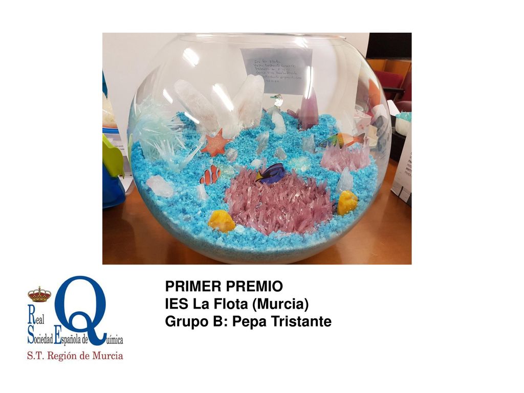 PRIMER PREMIO IES La Flota (Murcia) Grupo B: Pepa Tristante