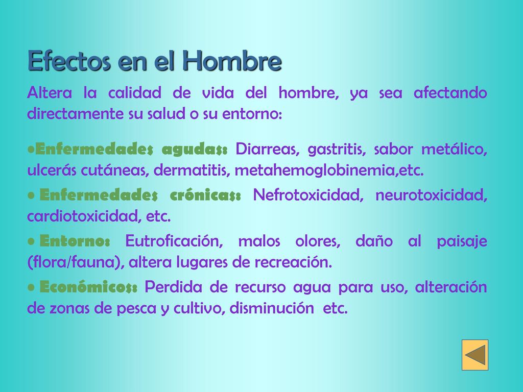 Efectos en el Hombre Altera la calidad de vida del hombre, ya sea afectando directamente su salud o su entorno: