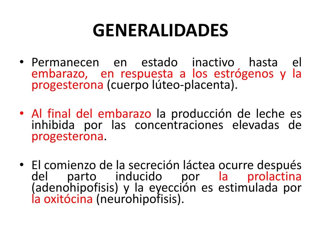 GENERALIDADES Permanecen en estado inactivo hasta el embarazo, en respuesta a los estrógenos y la progesterona (cuerpo lúteo-placenta).