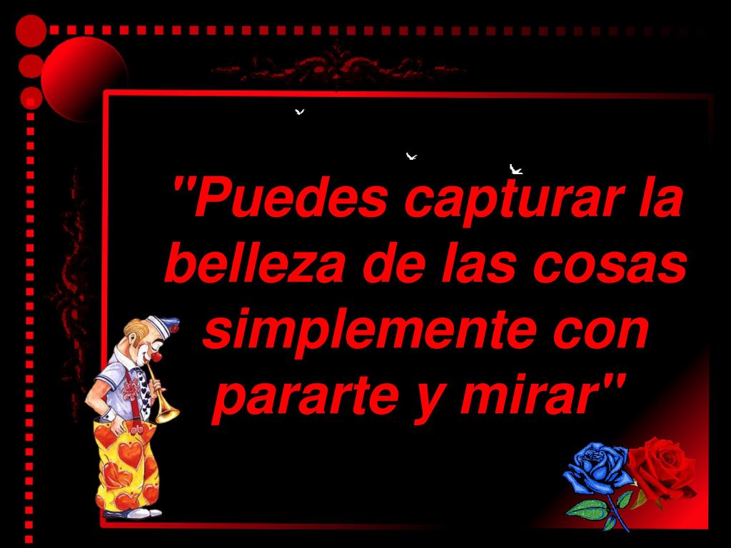 Puedes capturar la belleza de las cosas simplemente con pararte y mirar