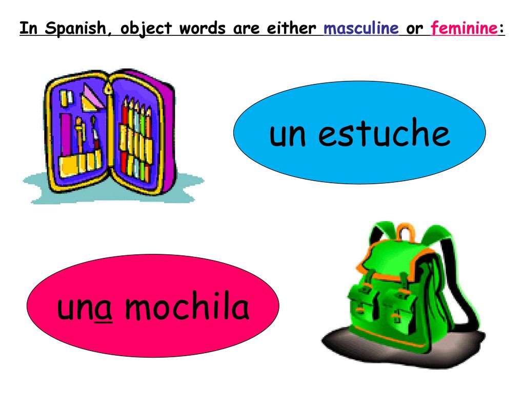 In Spanish, object words are either masculine or feminine: