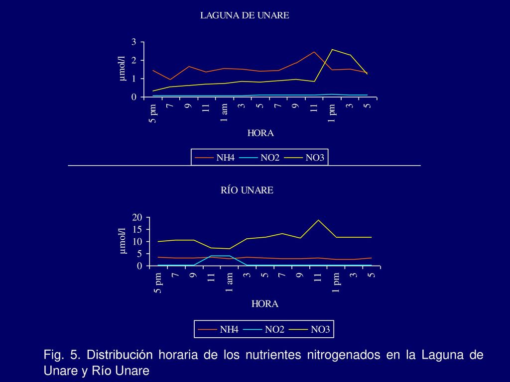 Fig. 5. Distribución horaria de los nutrientes nitrogenados en la Laguna de Unare y Río Unare