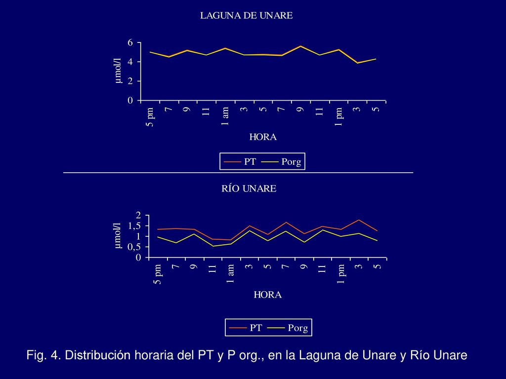 Fig. 4. Distribución horaria del PT y P org
