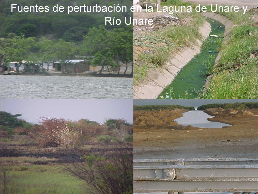Fuentes de perturbación en la Laguna de Unare y Río Unare