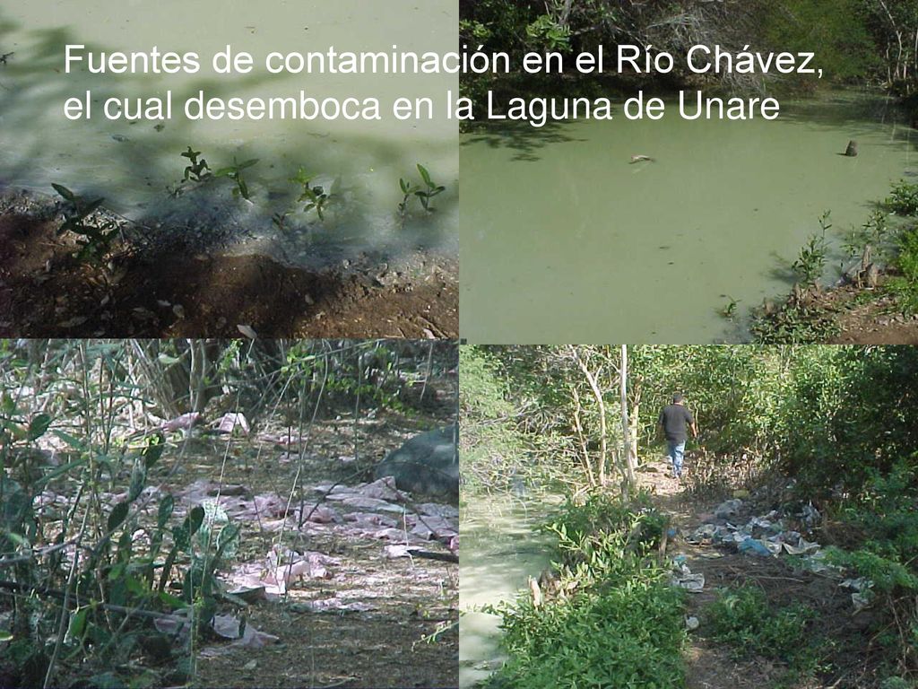 Fuentes de contaminación en el Río Chávez, el cual desemboca en la Laguna de Unare