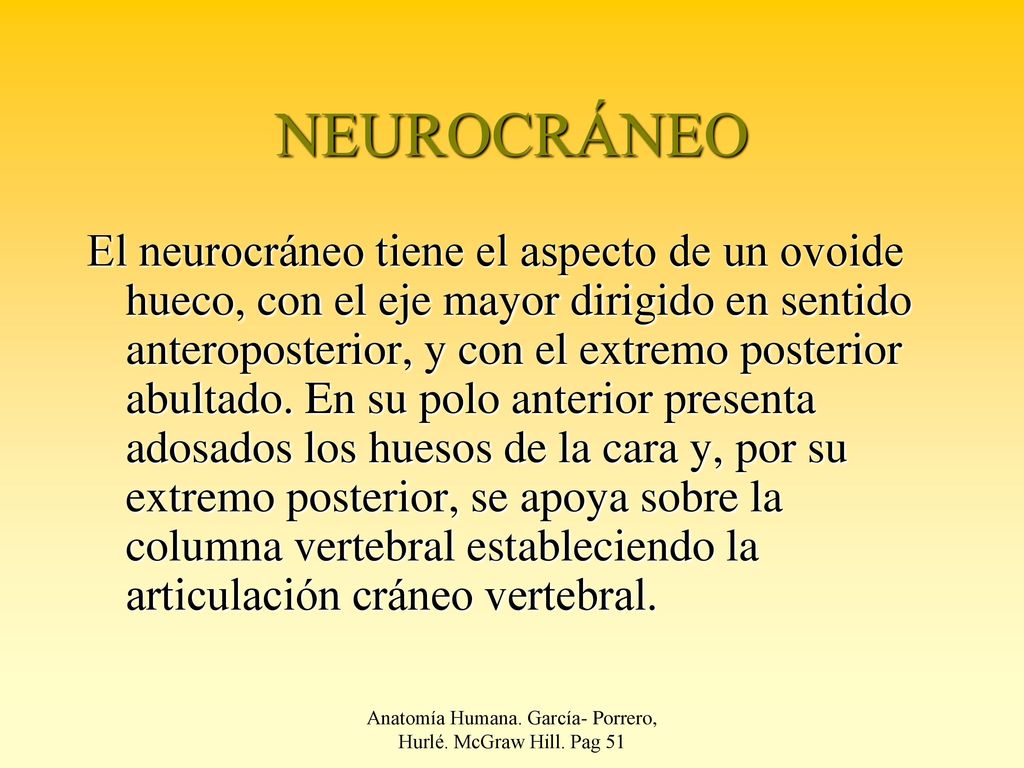 Anatomía Humana. García- Porrero, Hurlé. McGraw Hill. Pag 51
