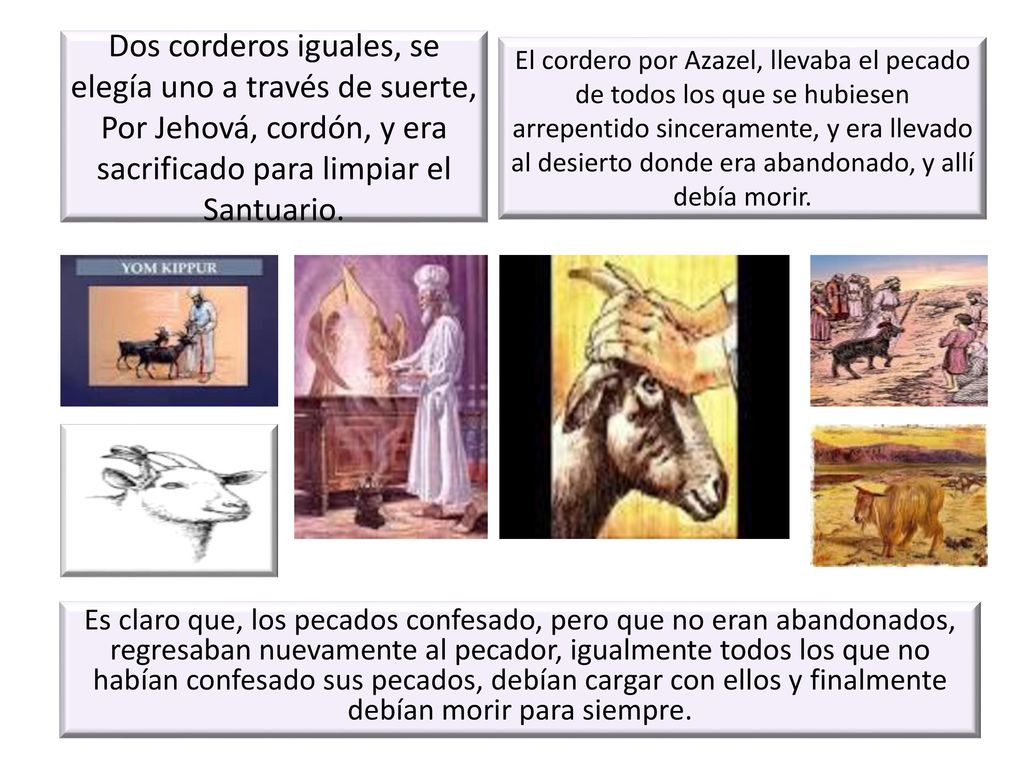 Dos corderos iguales, se elegía uno a través de suerte, Por Jehová, cordón, y era sacrificado para limpiar el Santuario.