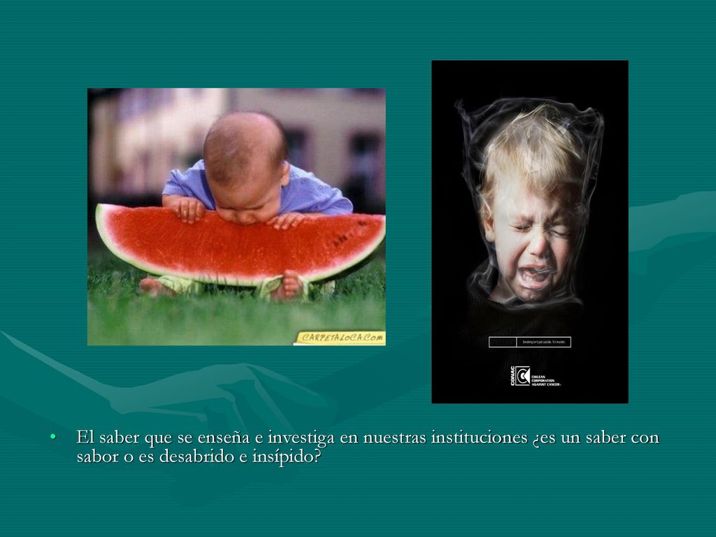 El saber que se enseña e investiga en nuestras instituciones ¿es un saber con sabor o es desabrido e insípido