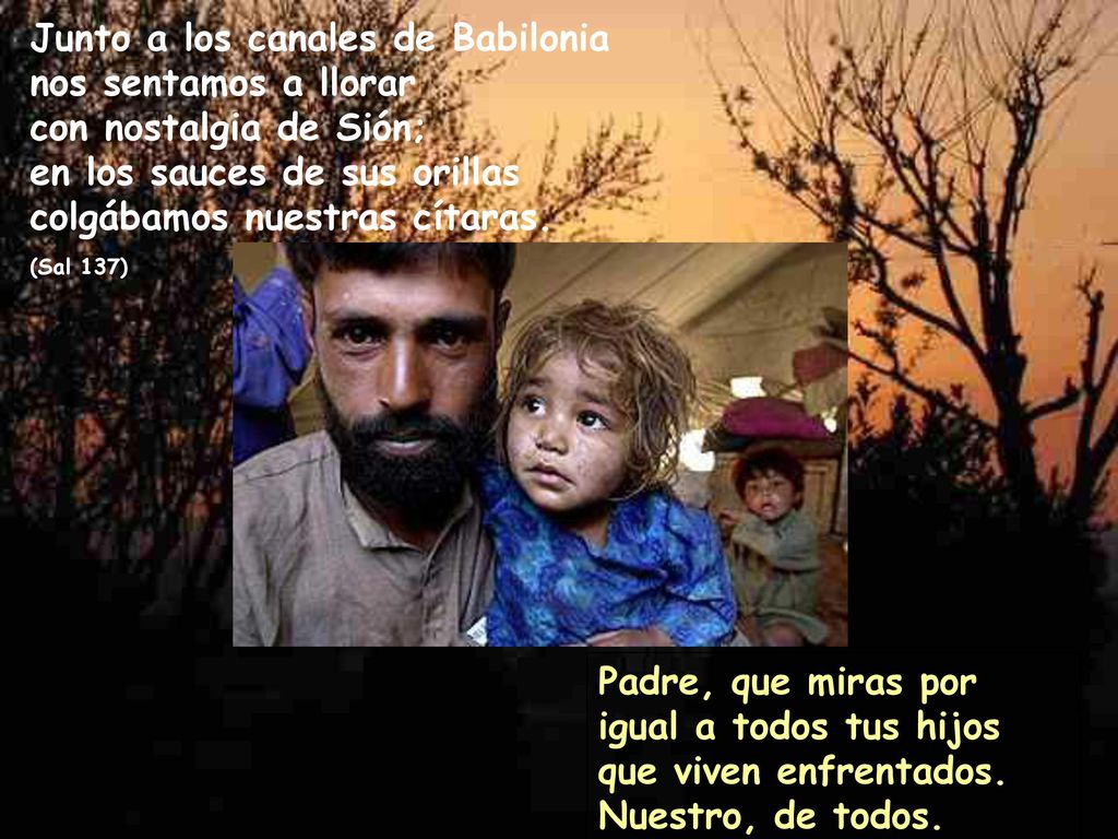Junto a los canales de Babilonia nos sentamos a llorar con nostalgia de Sión; en los sauces de sus orillas colgábamos nuestras cítaras. (Sal 137)