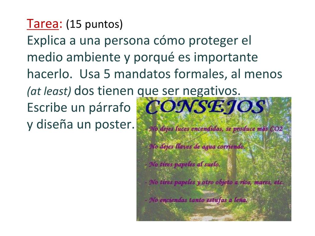 Tarea: (15 puntos) Explica a una persona cómo proteger el medio ambiente y porqué es importante hacerlo.