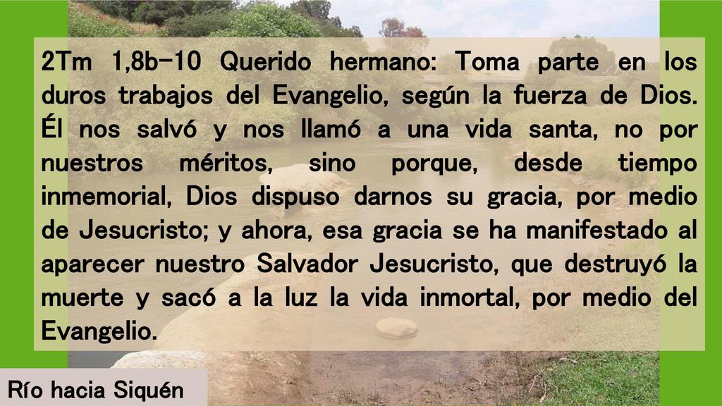 2Tm 1,8b-10 Querido hermano: Toma parte en los duros trabajos del Evangelio, según la fuerza de Dios. Él nos salvó y nos llamó a una vida santa, no por nuestros méritos, sino porque, desde tiempo inmemorial, Dios dispuso darnos su gracia, por medio de Jesucristo; y ahora, esa gracia se ha manifestado al aparecer nuestro Salvador Jesucristo, que destruyó la muerte y sacó a la luz la vida inmortal, por medio del Evangelio.