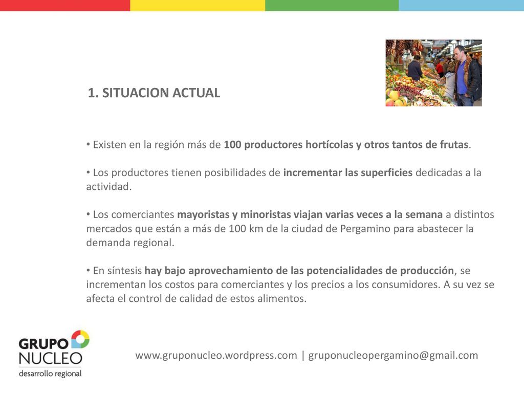 1. SITUACION ACTUAL Existen en la región más de 100 productores hortícolas y otros tantos de frutas.
