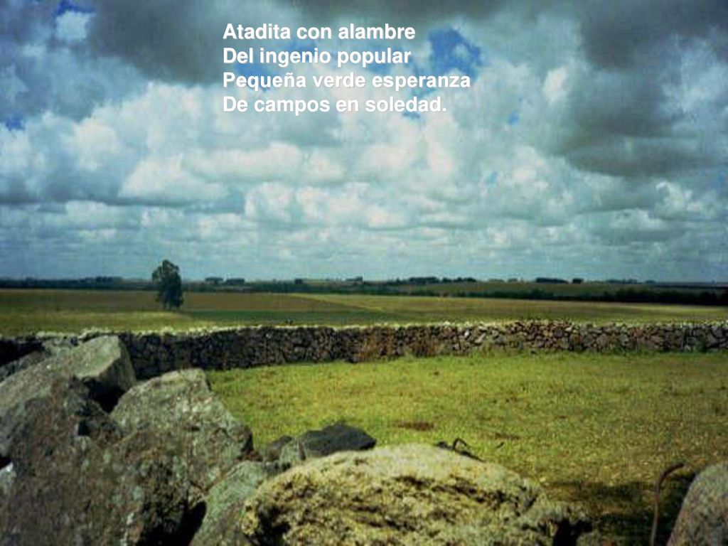 Atadita con alambre Del ingenio popular Pequeña verde esperanza De campos en soledad.
