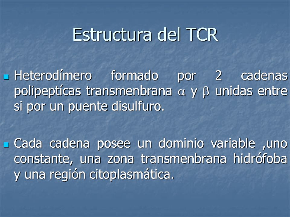 Estructura del TCR Heterodímero formado por 2 cadenas polipeptícas transmenbrana  y  unidas entre si por un puente disulfuro.