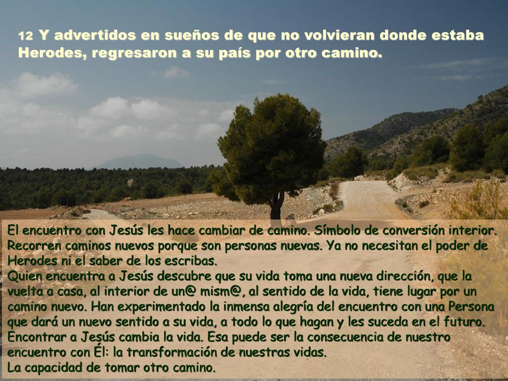 12 Y advertidos en sueños de que no volvieran donde estaba Herodes, regresaron a su país por otro camino.